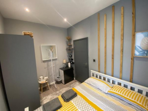 City Elegance Suits 20 Minutes to Central London